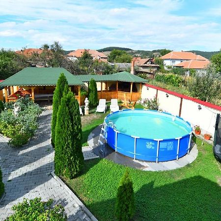 Pensiunea Mama Lia Hateg Exterior photo