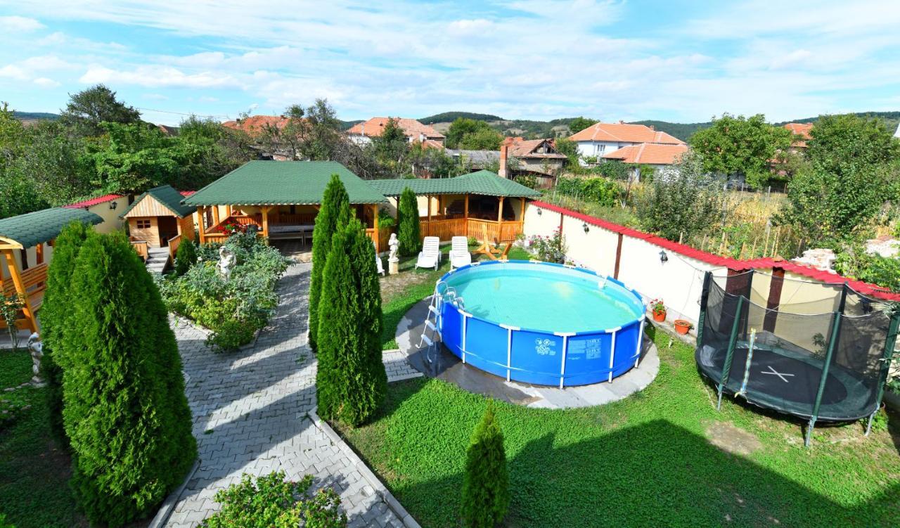 Pensiunea Mama Lia Hateg Exterior photo